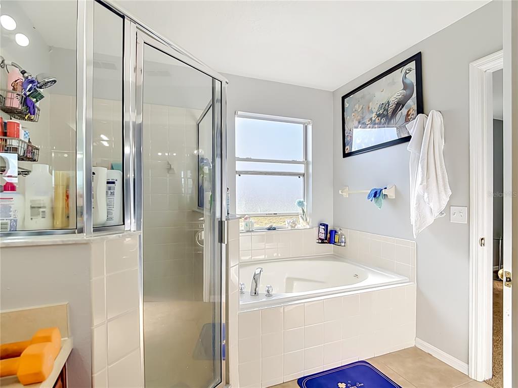 1425 NELSON BROOK WAY gallery image #26