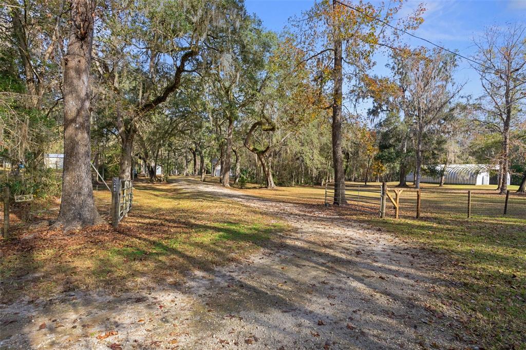 5248 NEFF LAKE ROAD gallery image #17