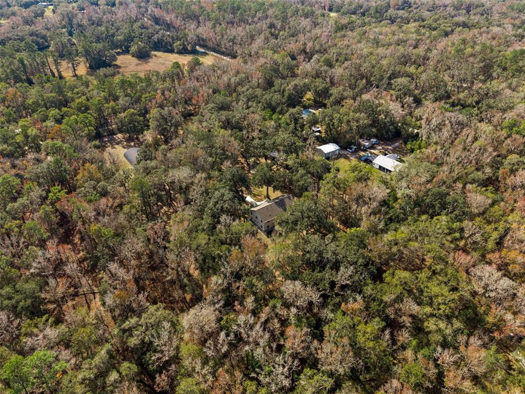 5248 NEFF LAKE ROAD gallery image #91