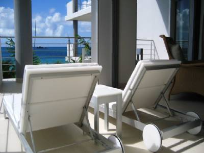 Paradise Found
