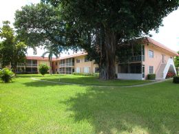 Wilton Manors' Manor Grove