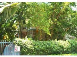 Lincoln Road location in a bamboo jungle