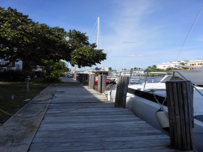 Las Olas Isles- Prime Assemblage