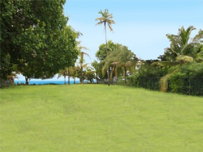 Lot 255