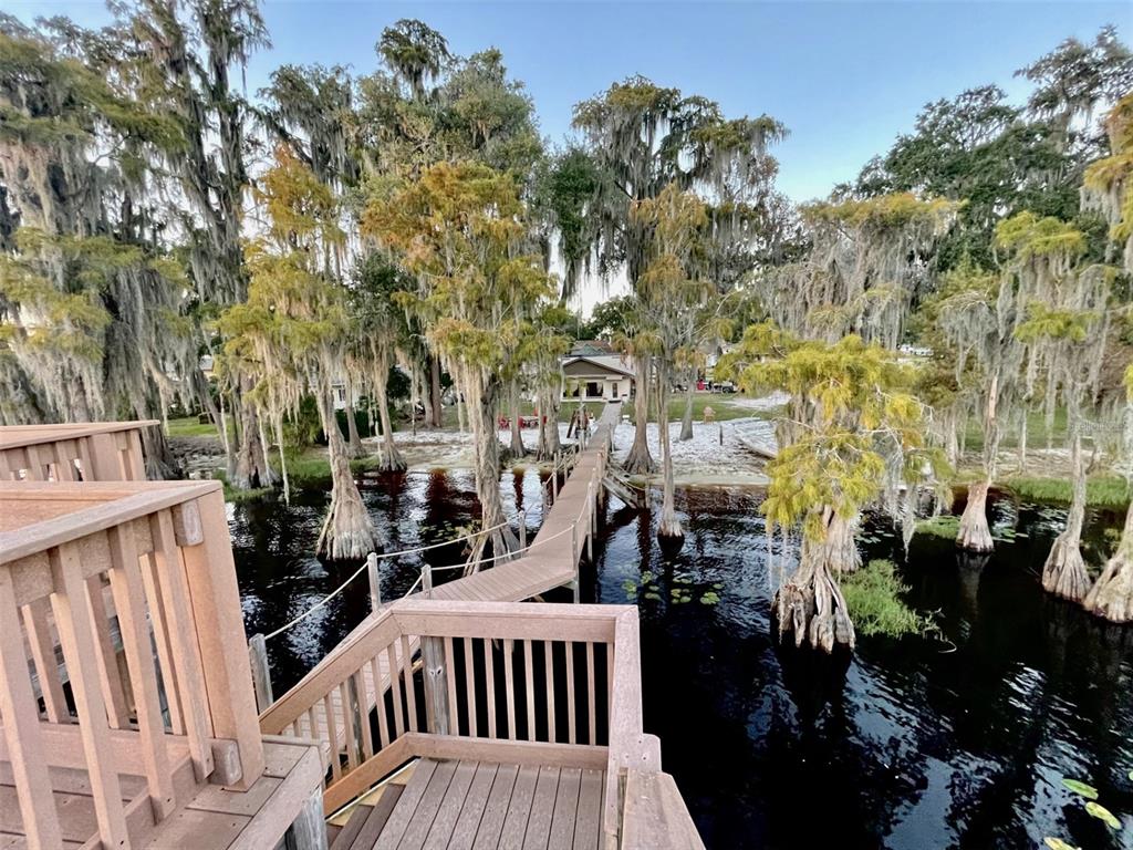1241 W LAKESHORE DRIVE
