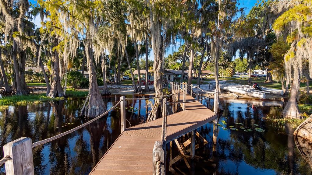 1241 W LAKESHORE DRIVE