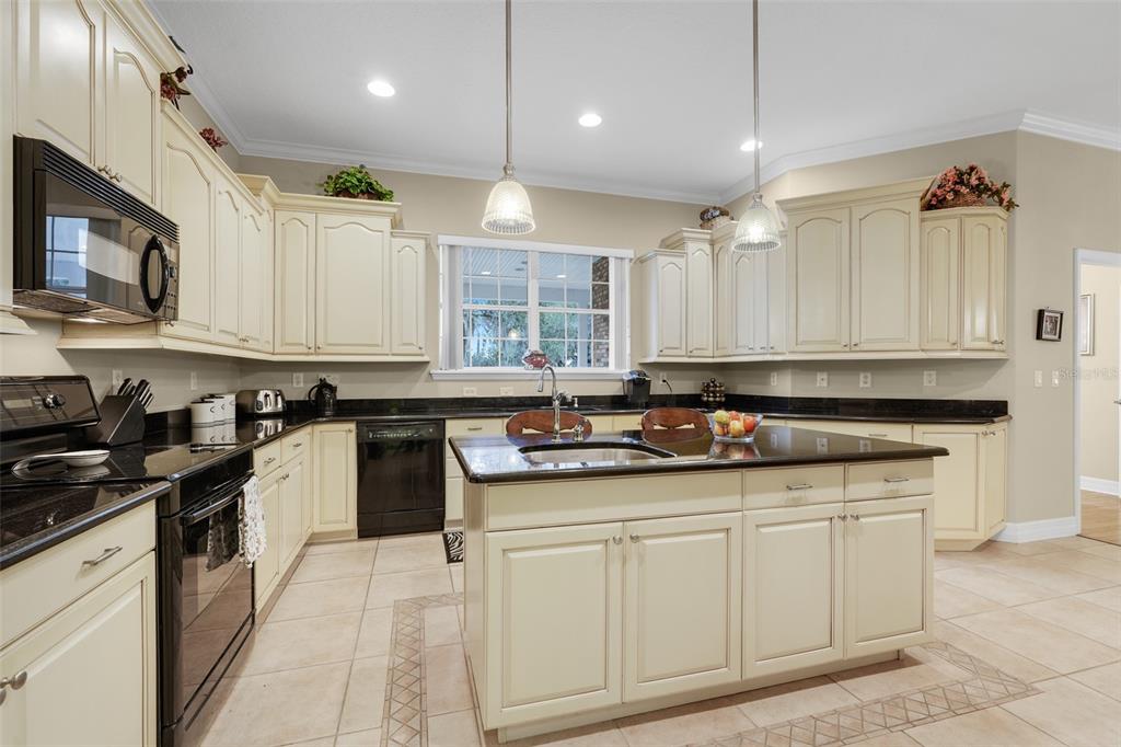 10336 LAKE LOUISA ROAD