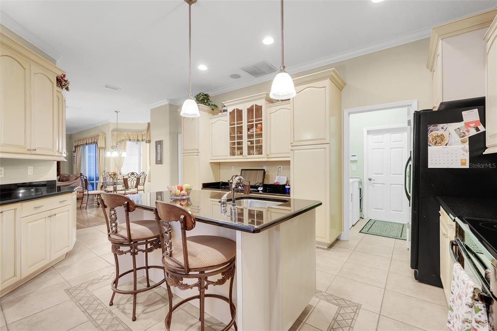 10336 LAKE LOUISA ROAD