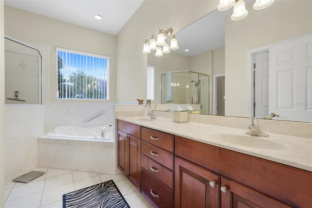 10336 LAKE LOUISA ROAD