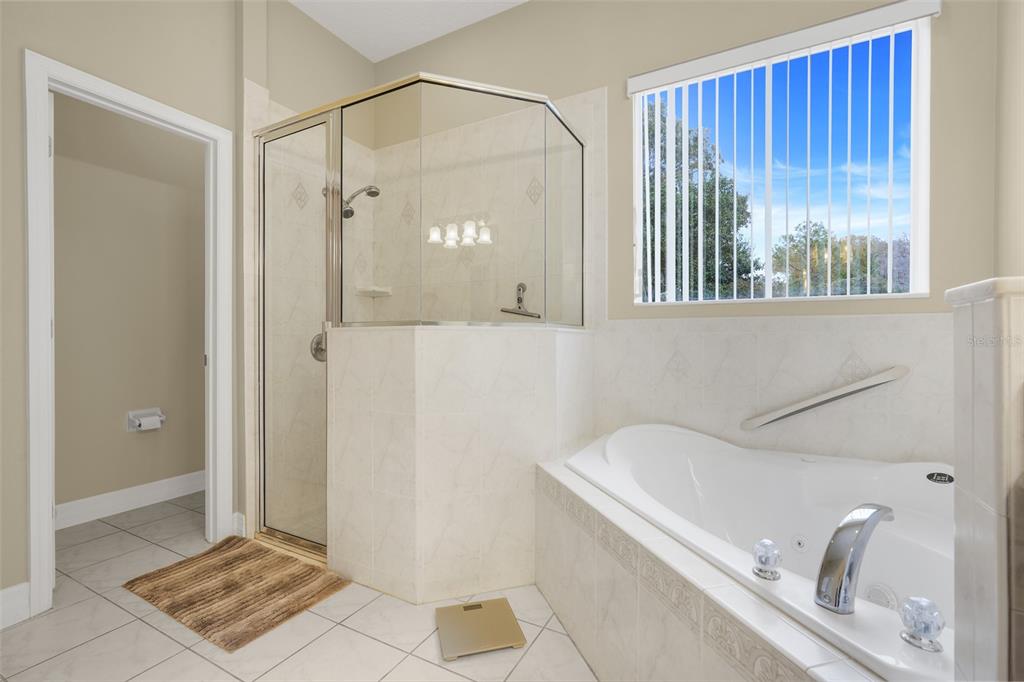 10336 LAKE LOUISA ROAD