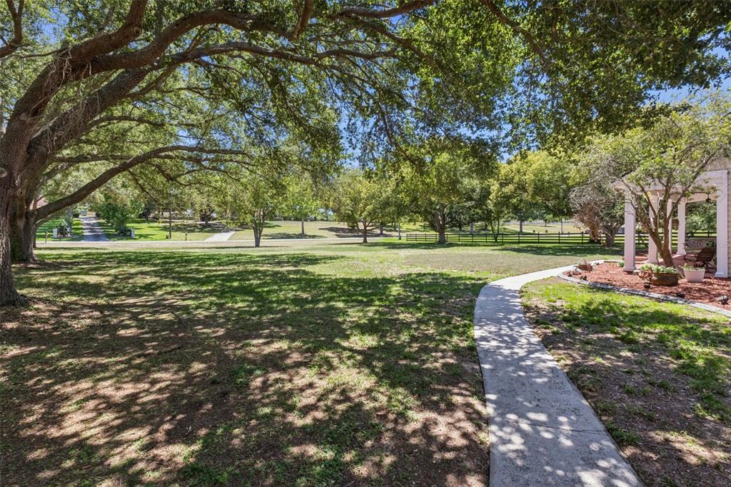 14951 THOROUGHBRED LN