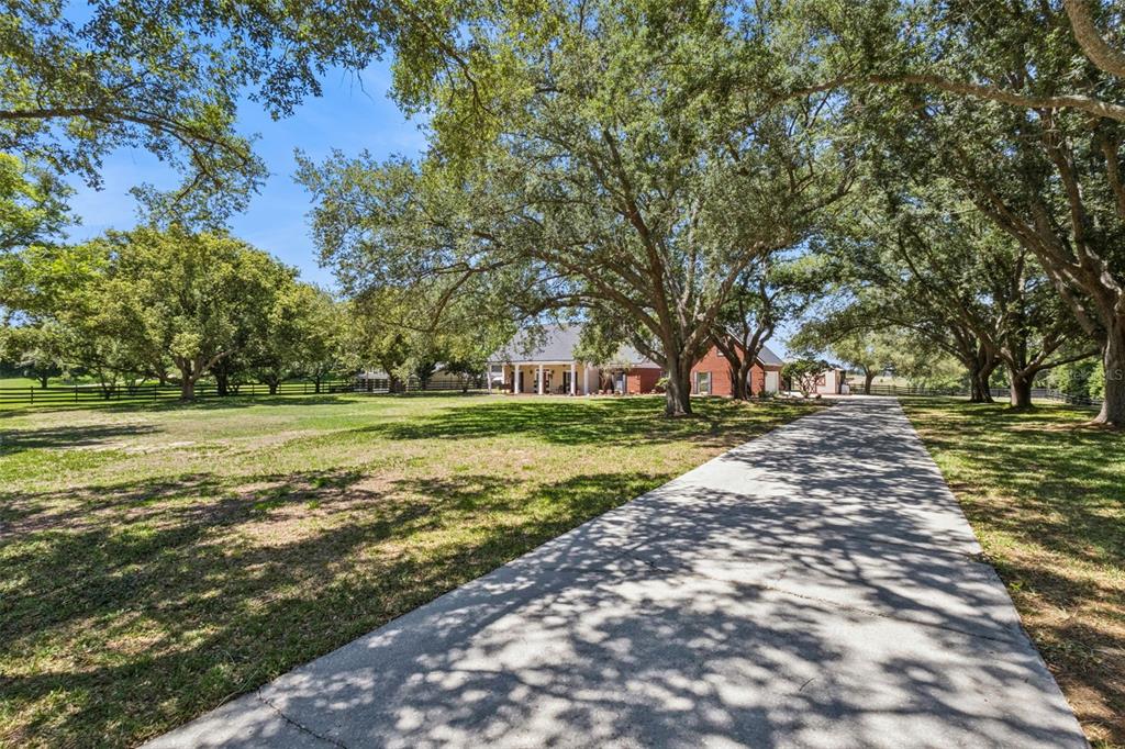 14951 THOROUGHBRED LN