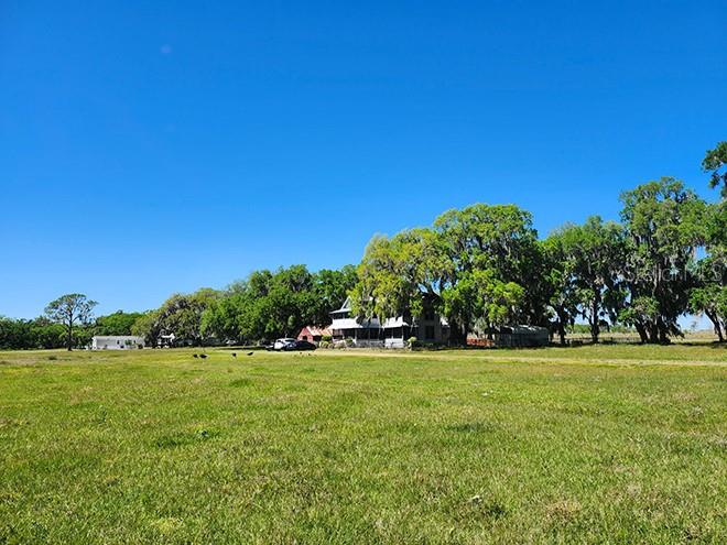 3650 LAKE TOHOPEKALIGA ROAD