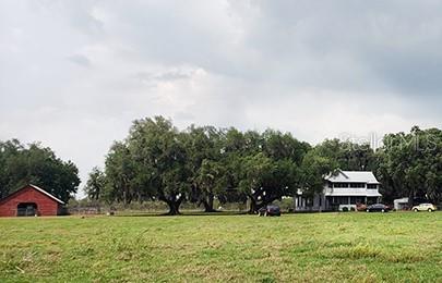 3650 LAKE TOHOPEKALIGA ROAD
