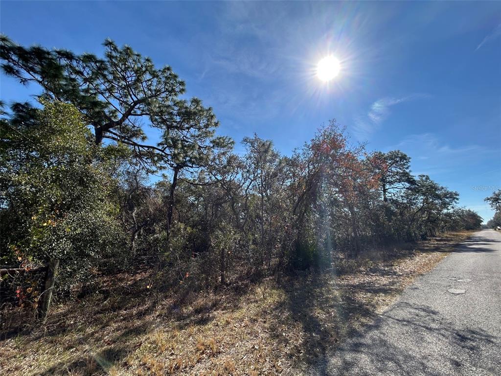9940 BLACK BEAR LANE