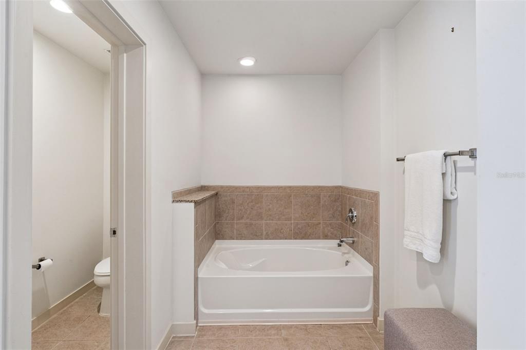 155 S COURT AVENUE UNIT P-2901