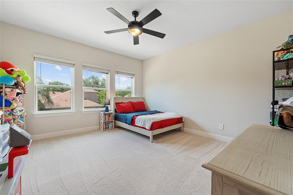 10175 BROCKSPORT CIRCLE