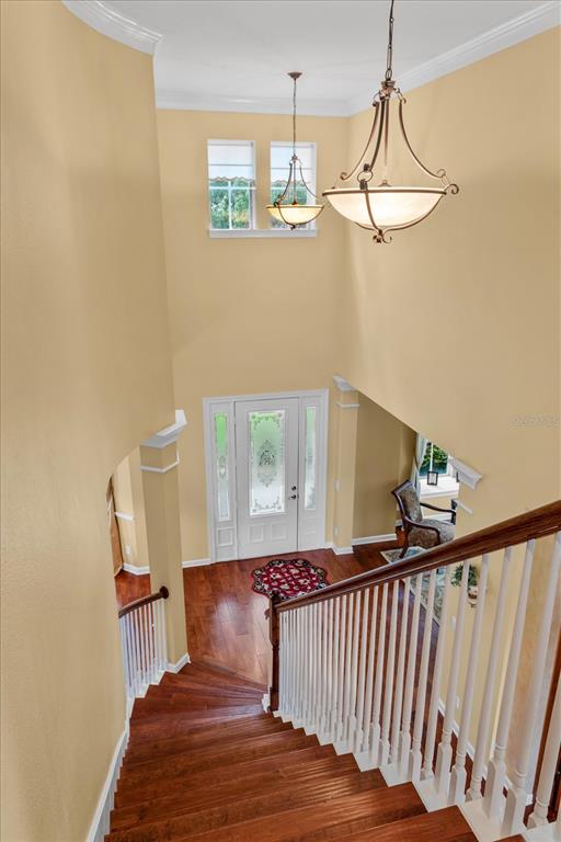 8241 TIBET BUTLER DRIVE