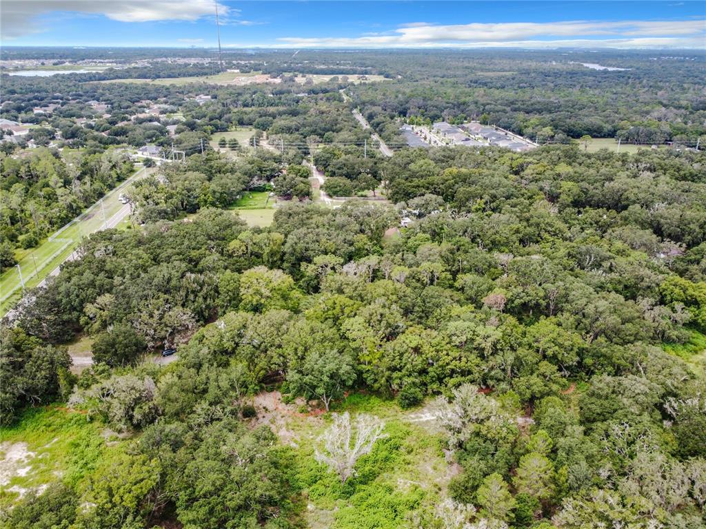 16206 BOYETTE ROAD