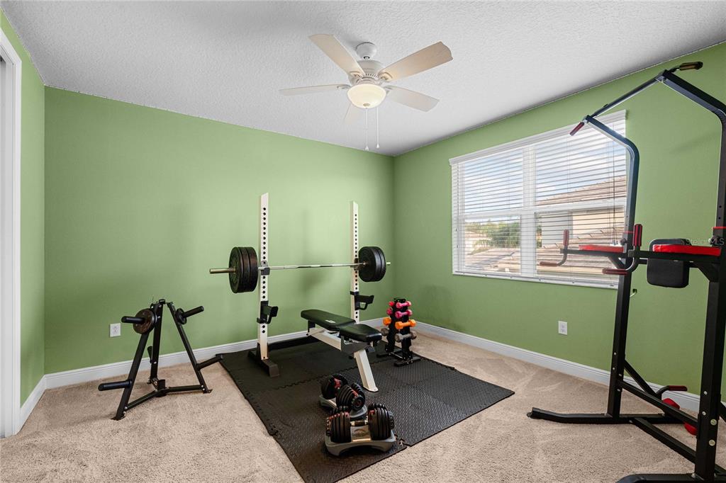 2611 COCO PALM CIRCLE