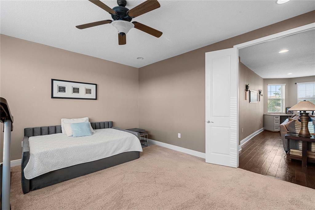 2611 COCO PALM CIRCLE
