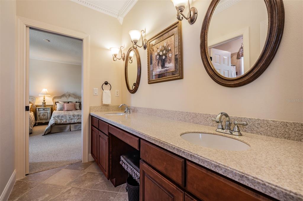 21246 QUIET HAVEN COURT
